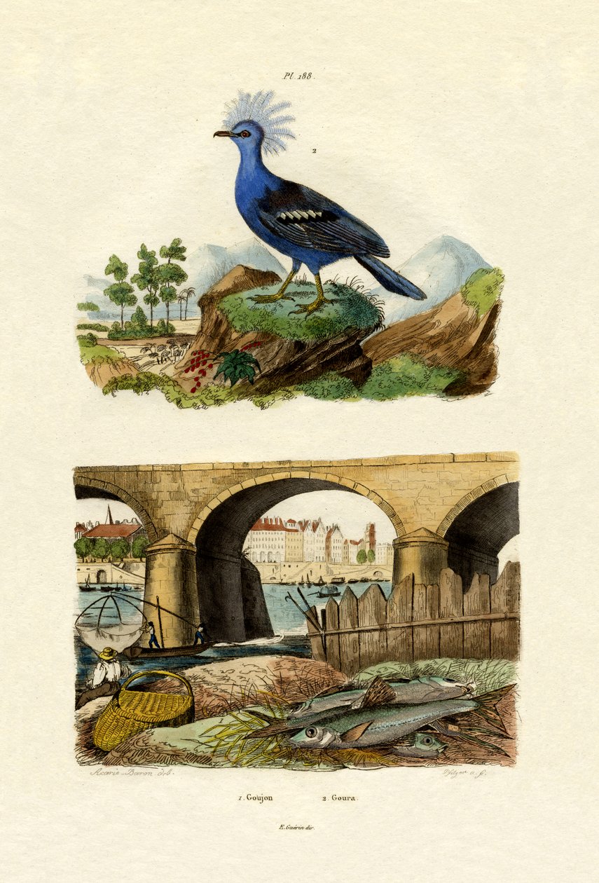 गुड़ीनगर, 1833-39 द्वारा फ्रेंच स्कूल