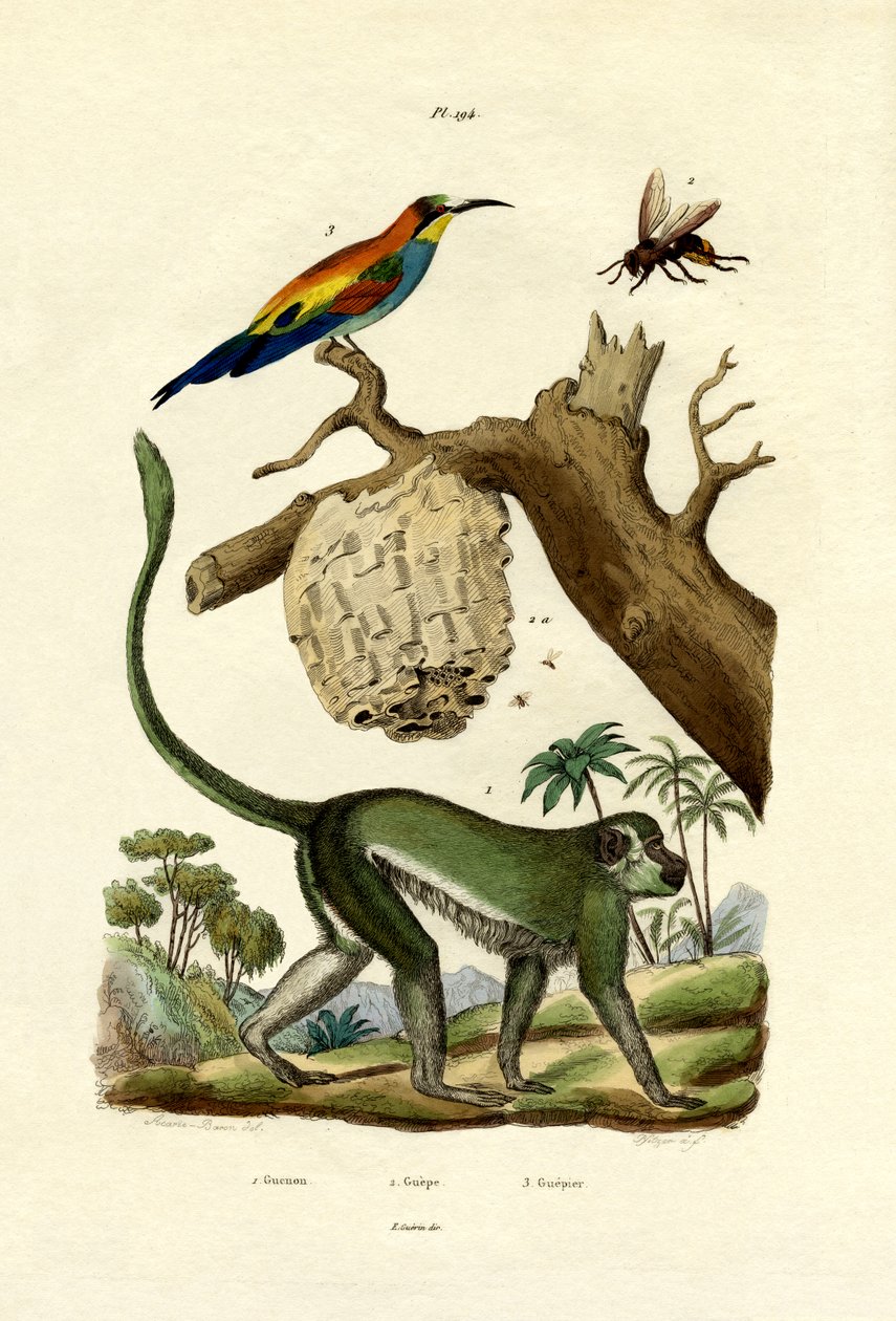 गुएनोन, 1833-39 द्वारा फ्रेंच स्कूल
