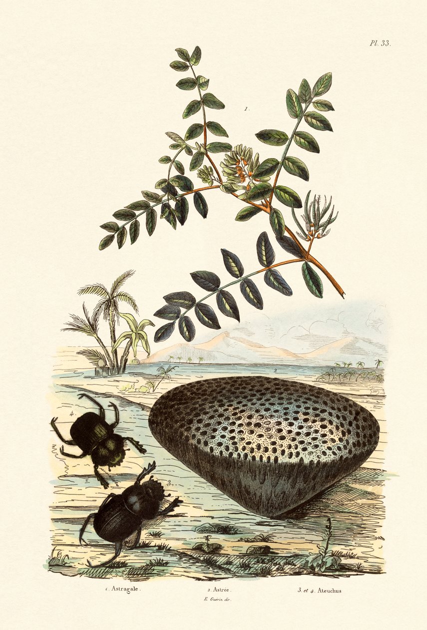 मिल्क वेट, 1833-39 द्वारा फ्रेंच स्कूल
