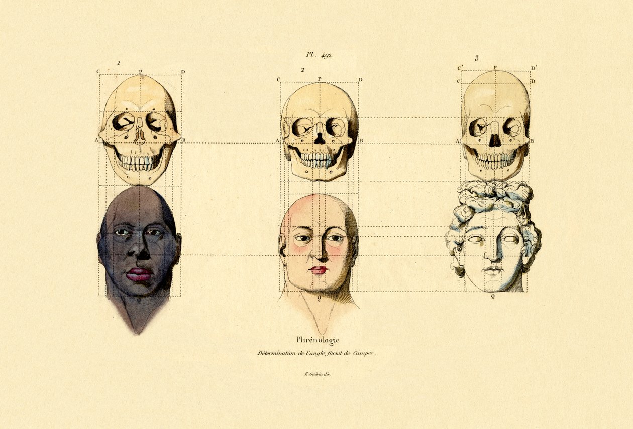 फ्रेनोलॉजी, 1833-39 द्वारा फ्रेंच स्कूल