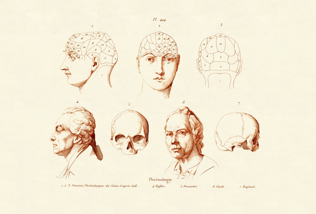 फ्रेनोलॉजी, 1833-39 द्वारा फ्रेंच स्कूल
