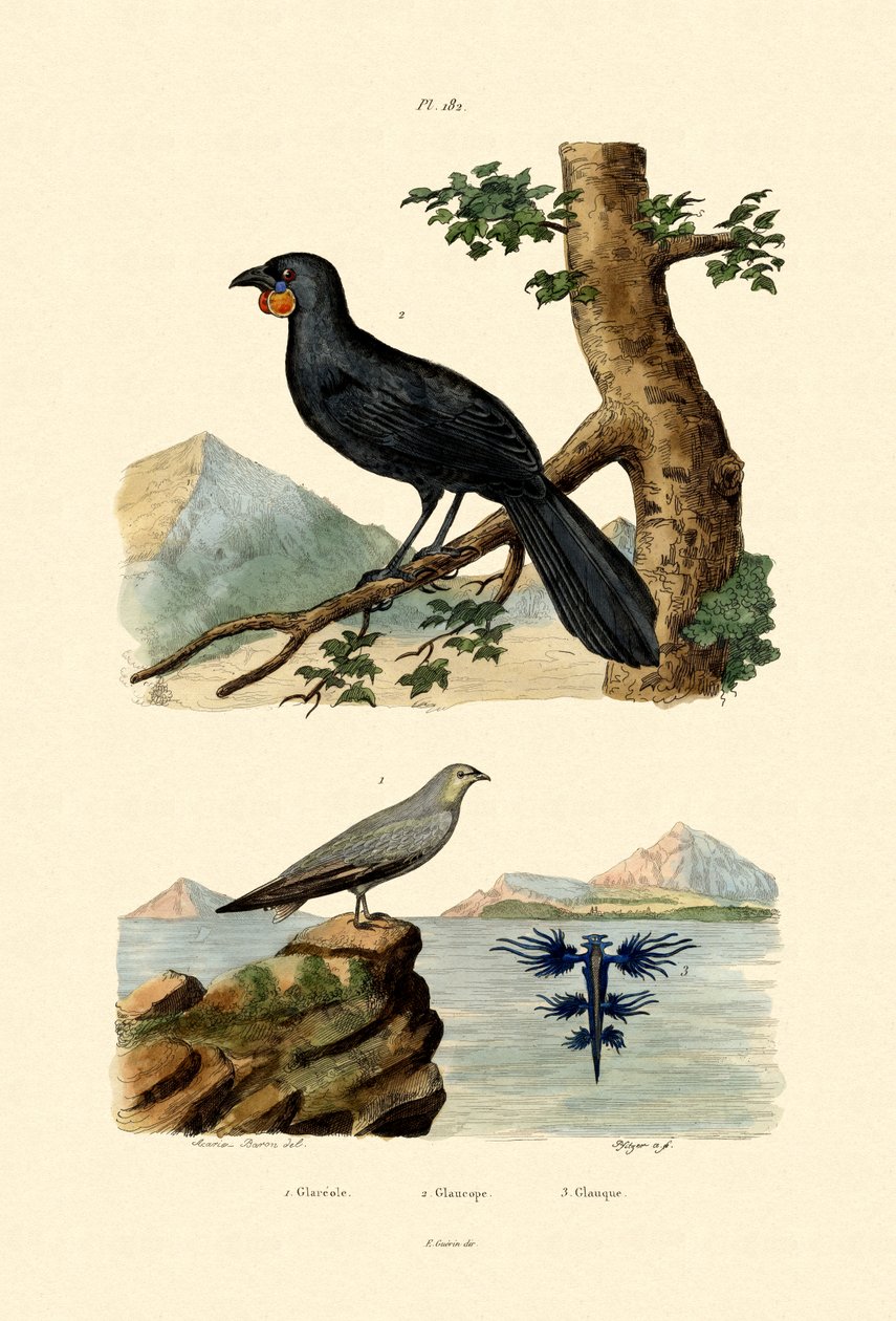 प्रितिनकोले, 1833-39 द्वारा फ्रेंच स्कूल