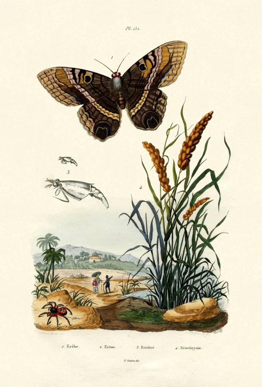 रिंगलेट, 1833-39 द्वारा फ्रेंच स्कूल