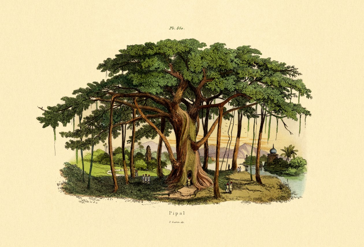 पवित्र चित्र, 1833-39 द्वारा फ्रेंच स्कूल