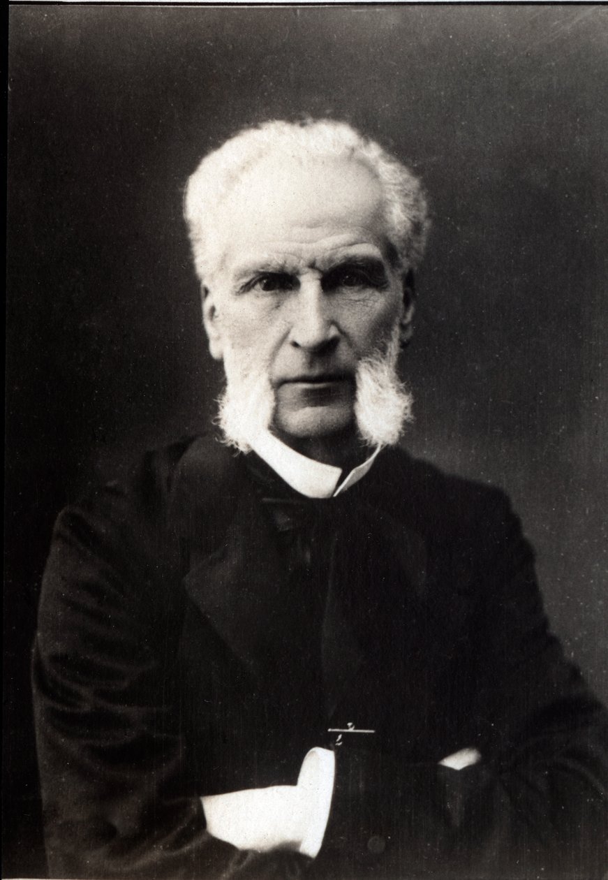 एमी जोसेफ एडमंड राउसे (1817-1906), फ्रांसीसी वकील का चित्र। द्वारा फ्रेंच फोटोग्राफर