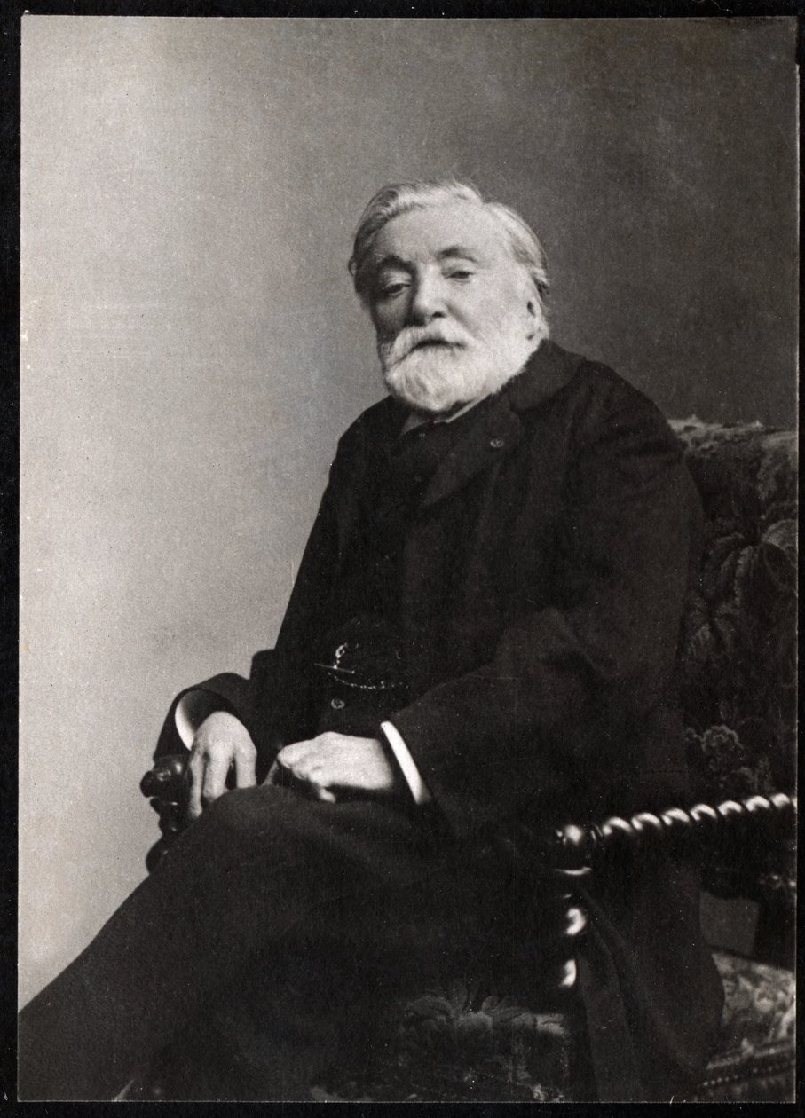 स्टीफन चार्ल्स हेनरी का पोर्ट्रेट, बॉर्नियर का विस्काउंट (1825-1901), फ्रांसीसी कवि और नाटककार। द्वारा फ्रेंच फोटोग्राफर