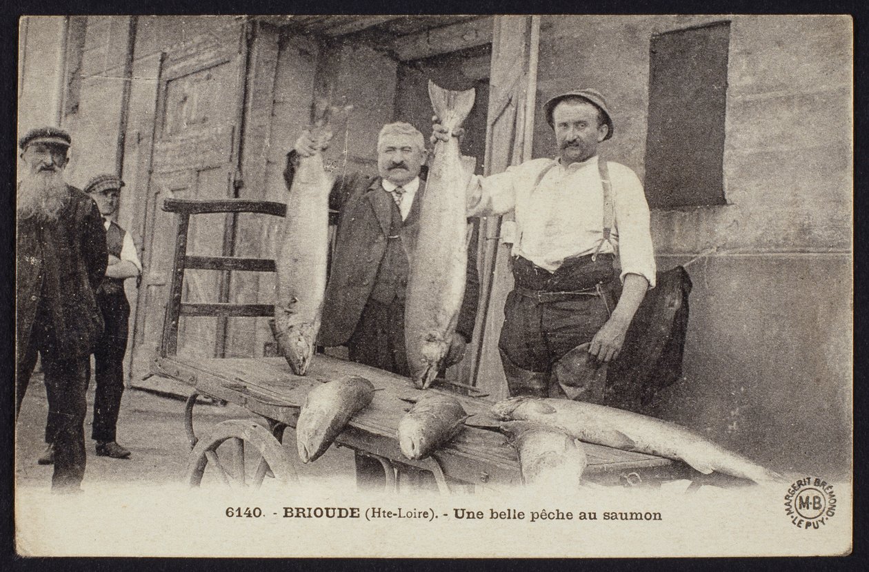 Brioude, Haute-Loire, c.1900 में सामन की एक अच्छी पकड़ का चित्रण पोस्टकार्ड द्वारा फ्रेंच फोटोग्राफर