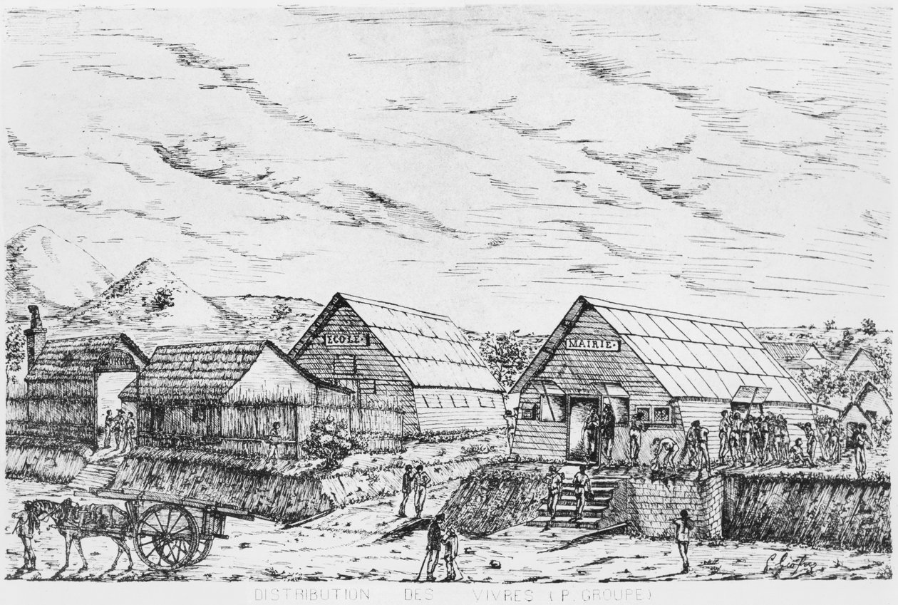 आइल ऑफ पाइन्स का एल्बम, आपूर्ति का वितरण, 1878-79 द्वारा फ्रेंच स्कूल