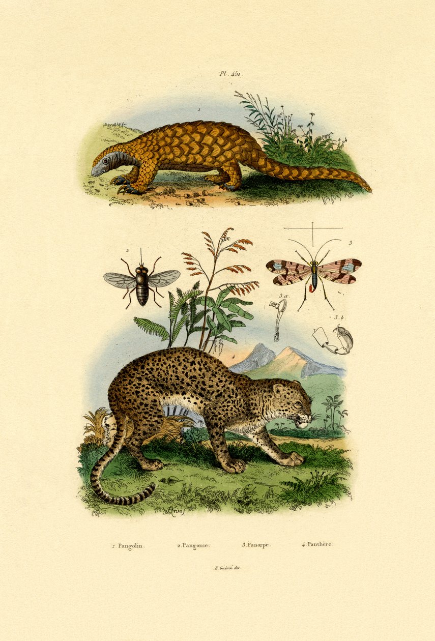 एंटीक, 1833-39 द्वारा फ्रेंच स्कूल