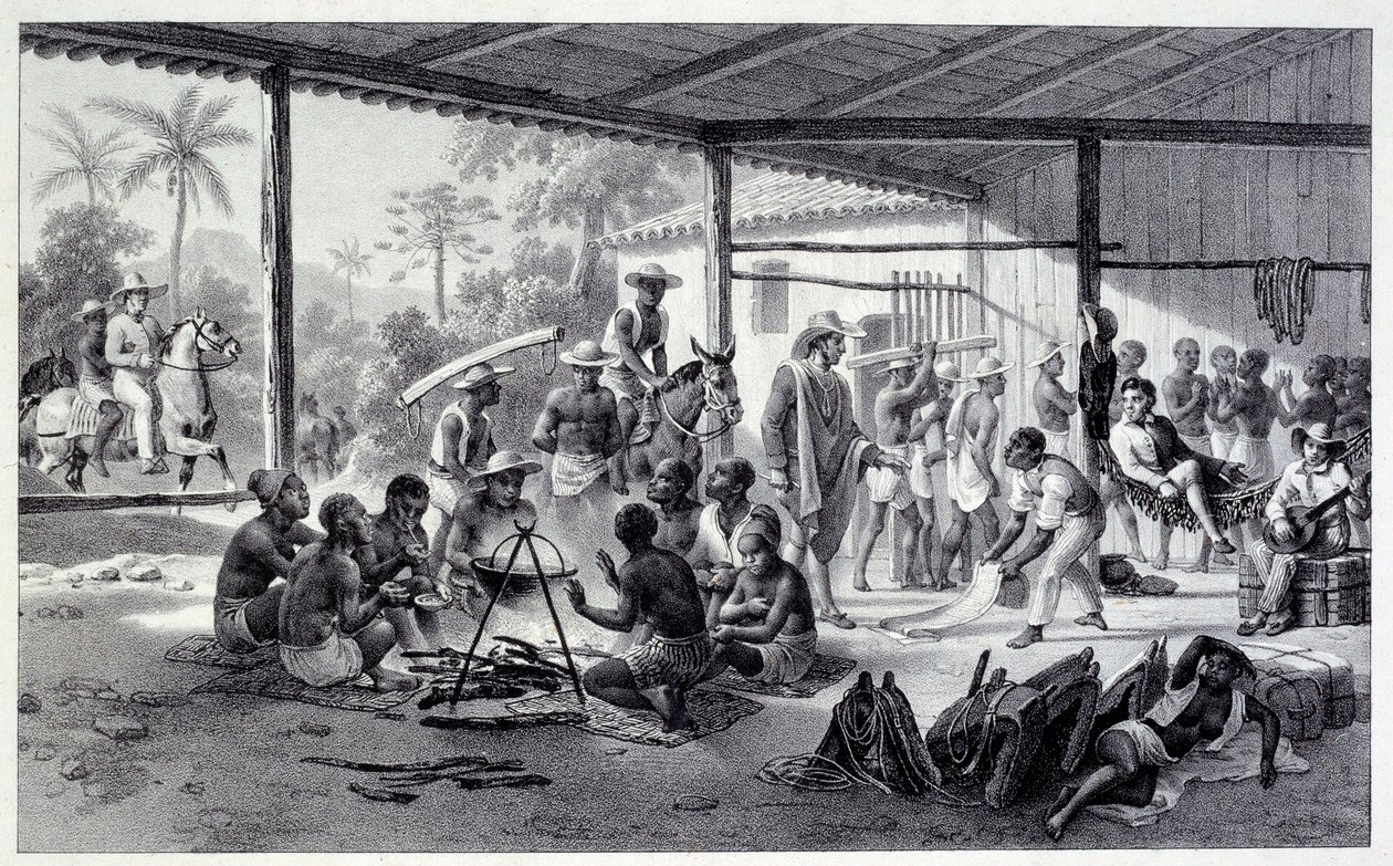 ब्राजील में नीगरों का शिविर। 19वीं शताब्दी से उत्कीर्णन। चार्ट्रेस, ललित कला संग्रहालय द्वारा फ्रेंच स्कूल