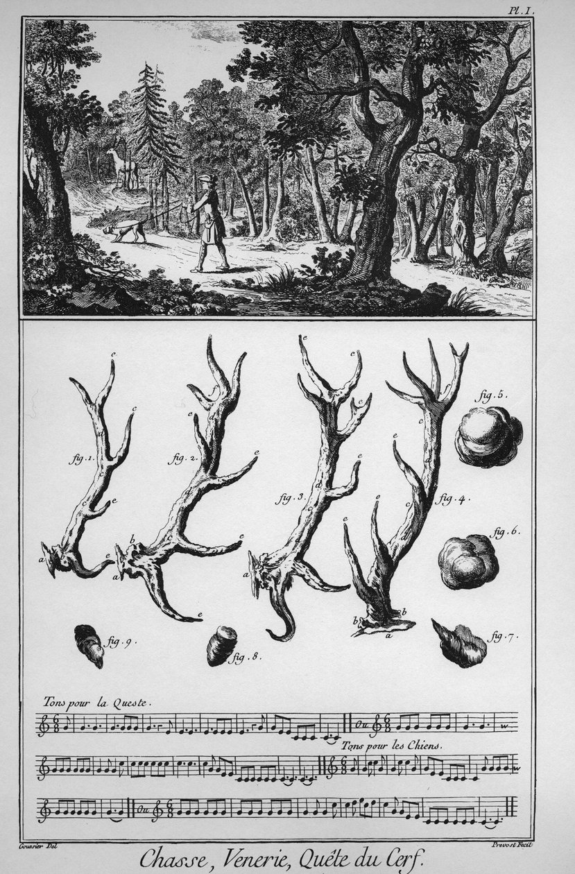 चेस - ला क्वेटे डु डियर - "" द ग्रेट इनसाइक्लोपीडी, या डिक्शननेयर रायसन डेस साइंसेज, डेस आर्ट्स एट डेस मेटियर्स "" (एनसाइक्लोपीडिया या डिक्शनरी ऑफ द साइंसेज, आर्ट्स एंड प्रोफेशन) डेनिस डिडेरॉट (1713-1784) और जीन डी 'द्वारा। अलेम्बर् द्वारा फ्रेंच स्कूल