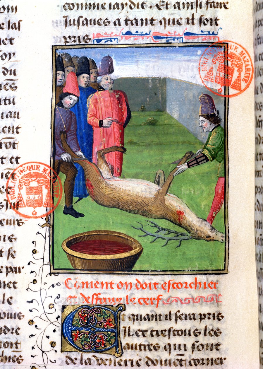 एक मृत हरिण के पैर काटना, गैस्ट्रॉन फेबस डी फिक्स (1300-91) द्वारा Livre de la Chasse से द्वारा फ्रेंच स्कूल