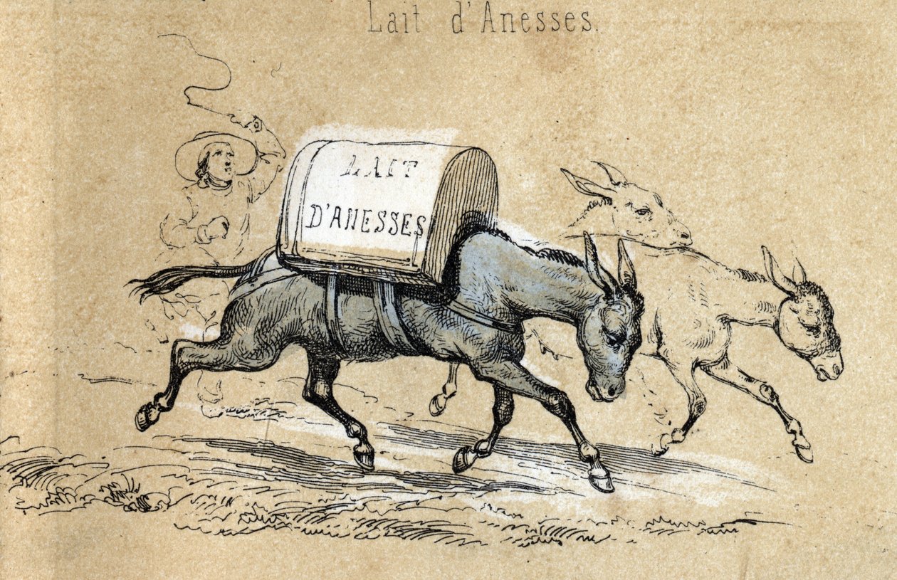 गधे के विभिन्न उत्पादों और उपयोगों का विवरण: गधे के दूध का भार ढोने वाले गधे। बोर्ड का विवरण "" गधा और उसके उत्पाद "" में "लेस मनोरंजन निर्देश"" जूल्स डेलब्रुक द्वारा सिनॉप्टिक पेंटिंग, 1860 से उत्कीर्ण। निजी द्वारा फ्रेंच स्कूल