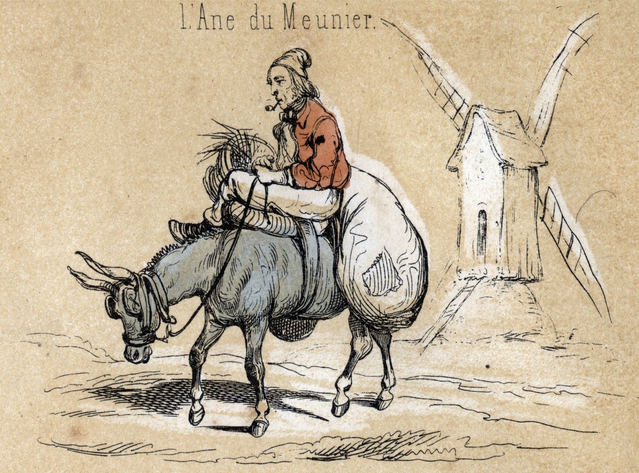 गधे के विभिन्न उत्पादों और उपयोगों का विवरण: पशु मिलर की मदद करता है। बोर्ड का विवरण "" गधा और उसके उत्पाद "" में "" लेस रिक्रिएशन इंस्ट्रक्टिव्स "" जूल्स डेलब्रुक द्वारा सिनॉप्टिक पेंटिंग, 1860 से उत्कीर्ण। निजी संग द्वारा फ्रेंच स्कूल