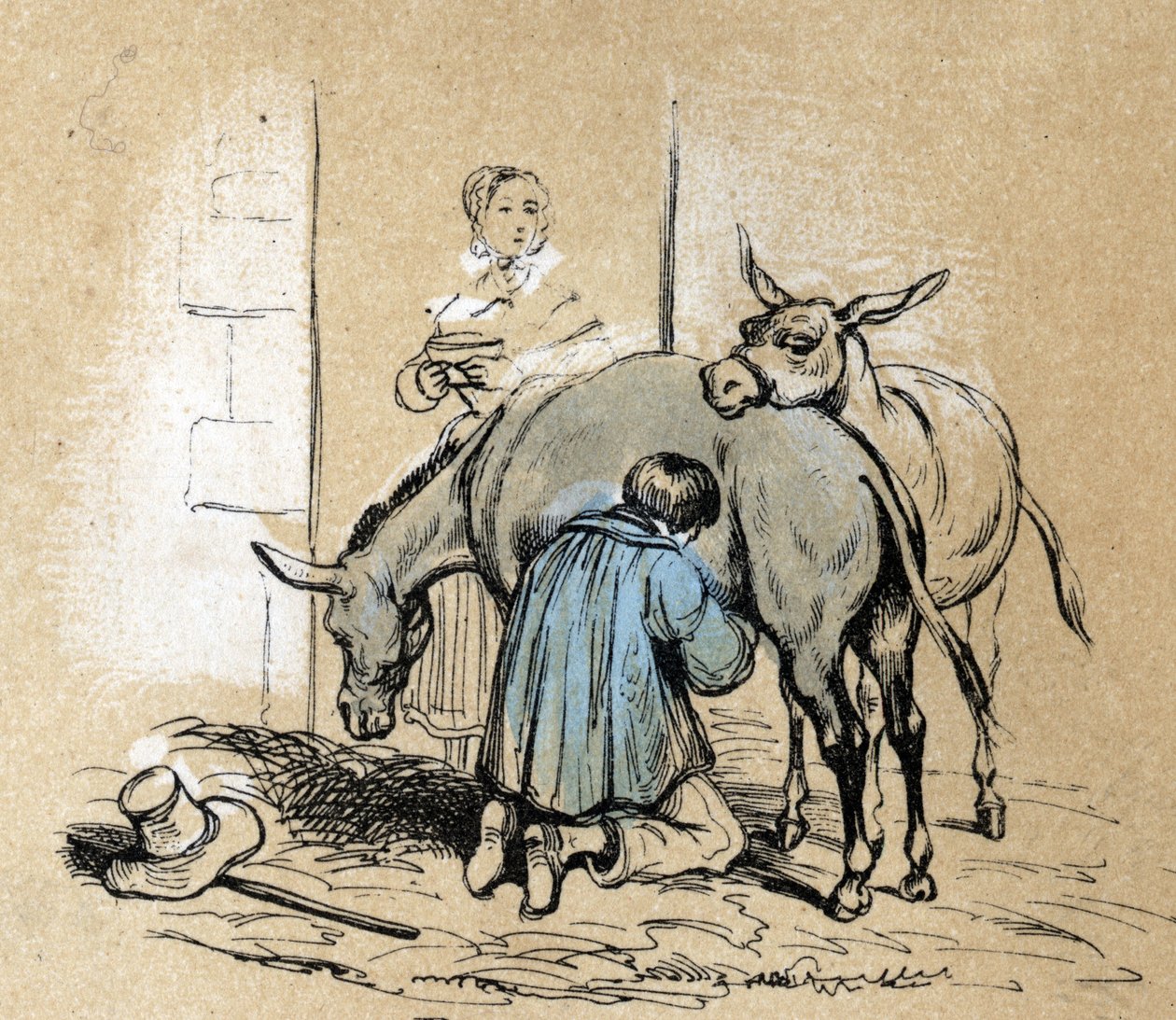 गधे के विभिन्न उत्पादों और उपयोगों का विवरण: डैनी के दूध का उत्पादन सौंदर्य उत्पाद के रूप में किया जाता है। बोर्ड का विवरण "" गधा और उसके उत्पाद "" में "लेस मनोरंजन निर्देश"" जूल्स डेलब्रुक द्वारा सिनॉप्टिक पेंटिंग, उत्की द्वारा फ्रेंच स्कूल