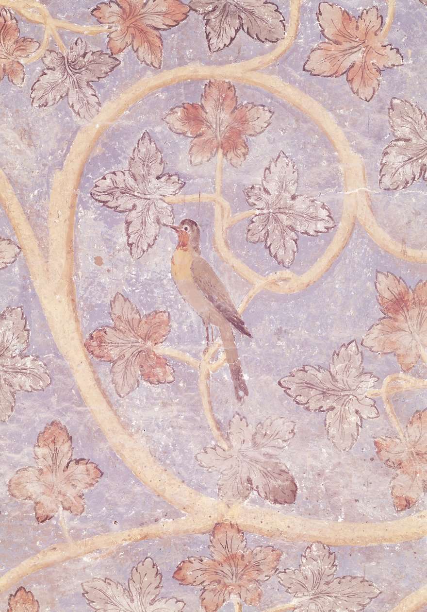 चबूतरे के बेडरूम की दीवार की सजावट से एक पक्षी का विस्तार, c.1334-62 (154784 भी देखें) द्वारा फ्रेंच स्कूल
