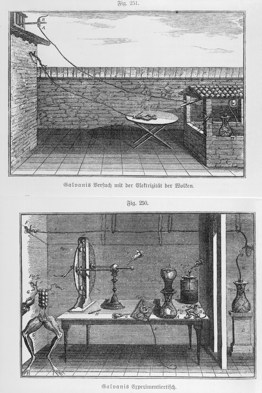 18 वीं शताब्दी के अंत में लुइस गैलवानी (1737-98) मेंढकों पर प्रयोग द्वारा फ्रेंच स्कूल