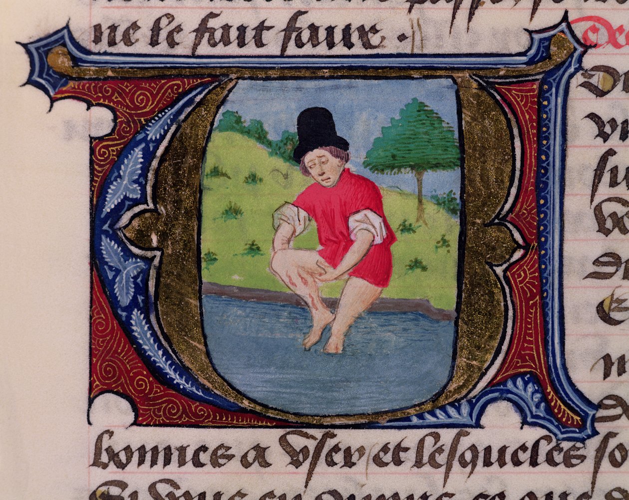 F.27v लिचिंग, मेडेसीन संधि से फ्लोरेंस के एल्डब्रांडे द्वारा, 1356 द्वारा फ्रेंच स्कूल