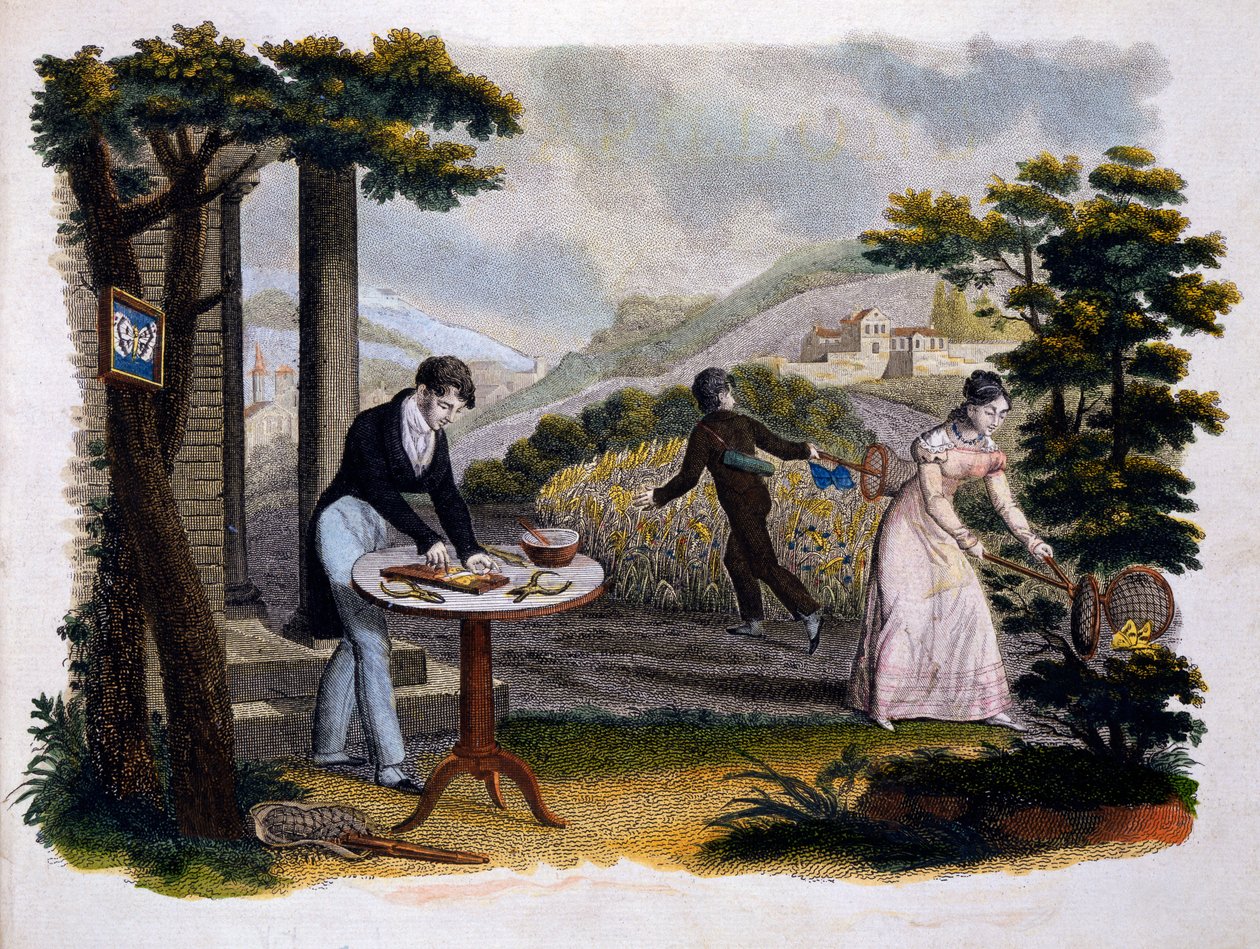 लेस पैपिलॉन्स से फ्रंटस्पाईज ... यूजीन बलांड (1796-c.1850), पी। ब्लांचर्ड, लेसेरफ, पेरिस, 1823 (रंग उत्कीर्णन) द्वारा प्रकाशित द्वारा फ्रेंच स्कूल