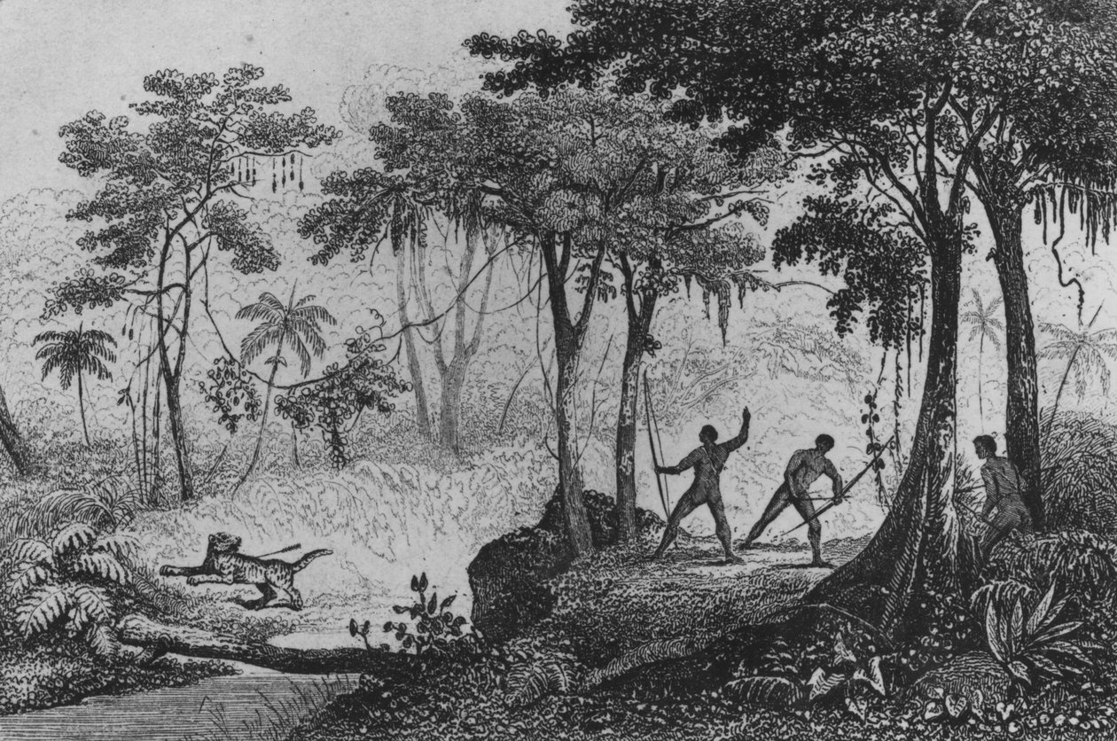 जगुआर हंट, फर्डिनेंड डेनिस और सीज़र फैमिन द्वारा 1837 द्वारा फ्रेंच स्कूल