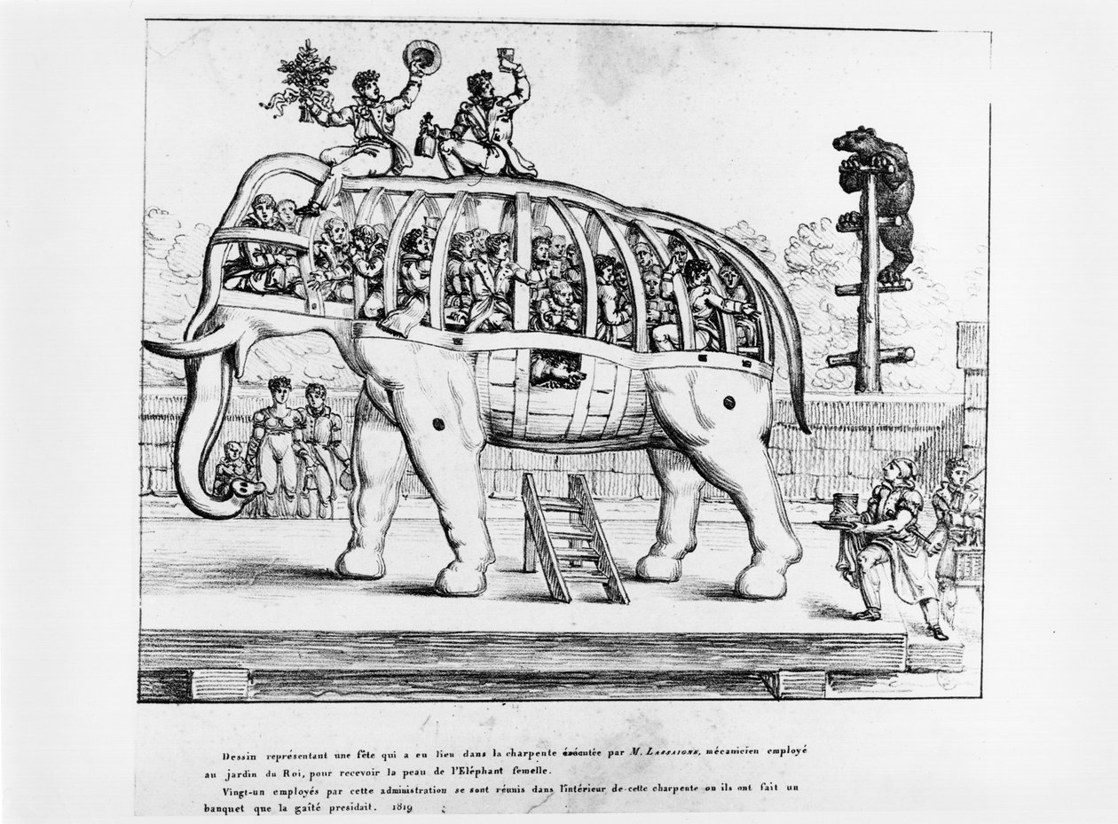 पेरिस में पौधों का उद्यान, 1819 द्वारा फ्रेंच स्कूल