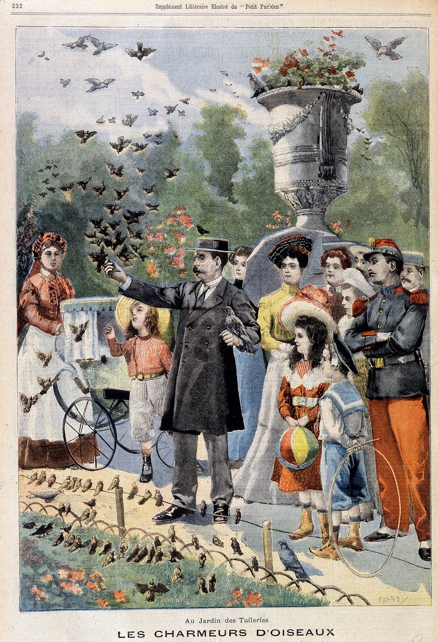 जार्डिन डेस तुइलरीज में पक्षी आकर्षण - 21/07/1901 (उत्कीर्णन) से "ले पेटिट पेरिसियन" में द्वारा फ्रेंच स्कूल
