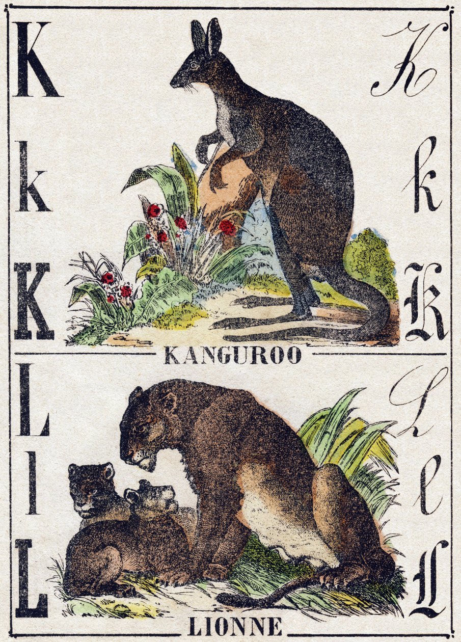पत्र केएल; के कंगुरू; एल शेरनी। "" जंगली जानवरों की वर्णमाला "" में उत्कीर्णन। 9वीं श्रृंखला। एपिनल, पेलरिन, प्रिंटर-प्रकाशक, लगभग 1870 की इमेजरी। लकड़ी पर उत्कीर्णन, स्टेंसिल। 16 पृष्ठ। मंद: 20 x 15 सेमी। निजि संग्रह द्वारा फ्रेंच स्कूल