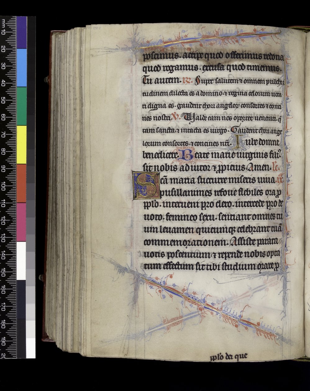 फ्रांस, पेरिस के इसाबेला के Psalter और घंटे से MS 300 f.189v, मैटिंस, c.1265-70 द्वारा फ्रेंच स्कूल