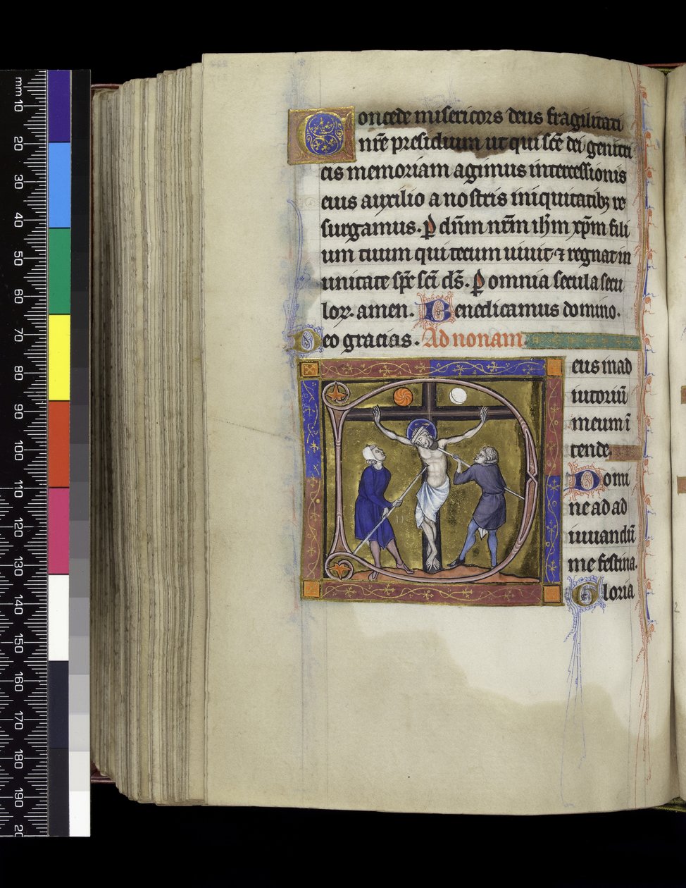 MS 300 f.217v, क्रूसीफिक्सियन, फ्रांस के इसाबेला के साल्टर और घंटे से, पेरिस, c.1265-70 (चर्मपत्र पर कलम और स्याही और तापमान) द्वारा फ्रेंच स्कूल