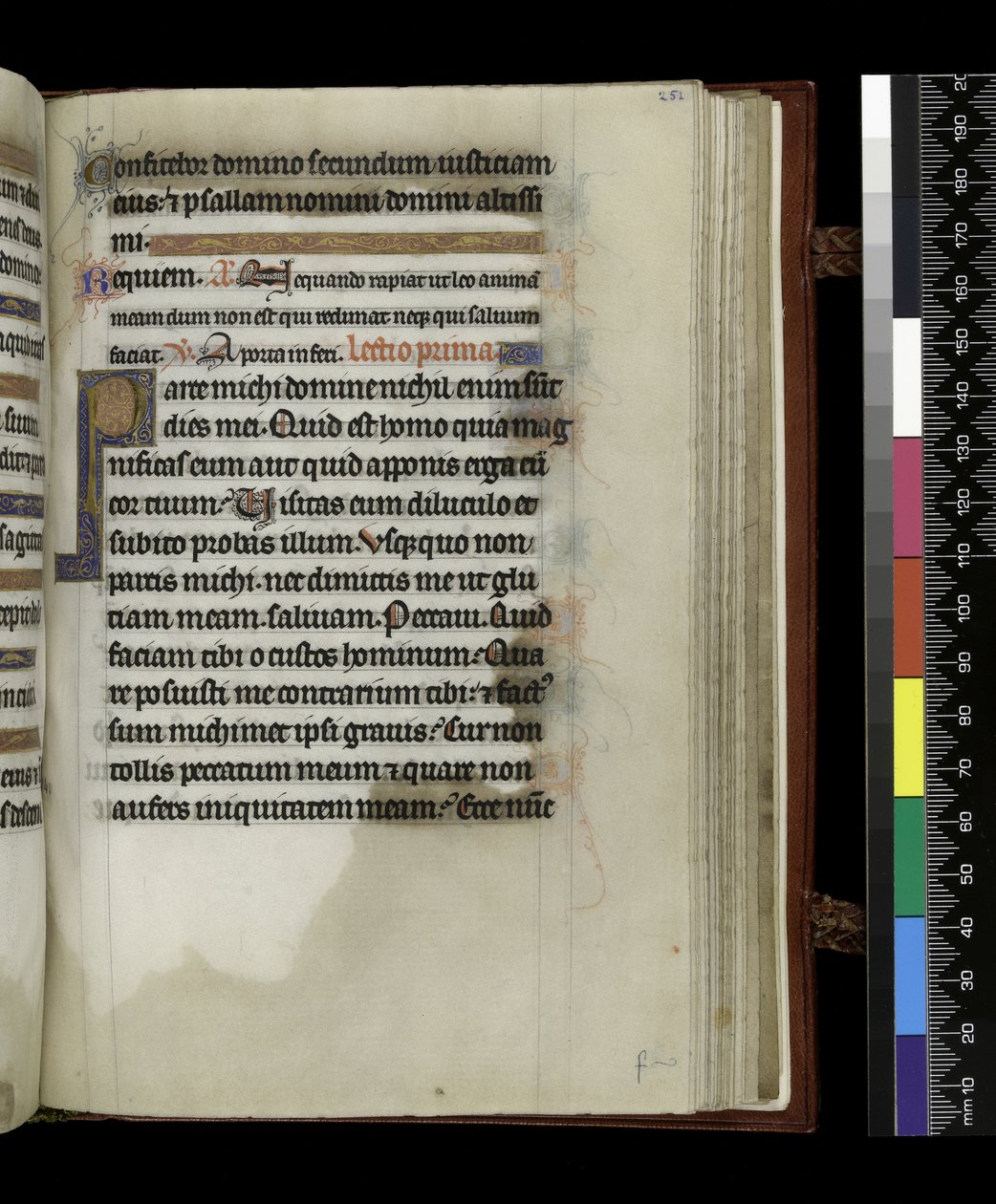 MS 300 f.251r, फ्रांस, पेरिस के इसाबेला के स्तोत्र और घंटे से, c.1265-70 (चर्मपत्र पर कलम और स्याही और तापमान) द्वारा फ्रेंच स्कूल