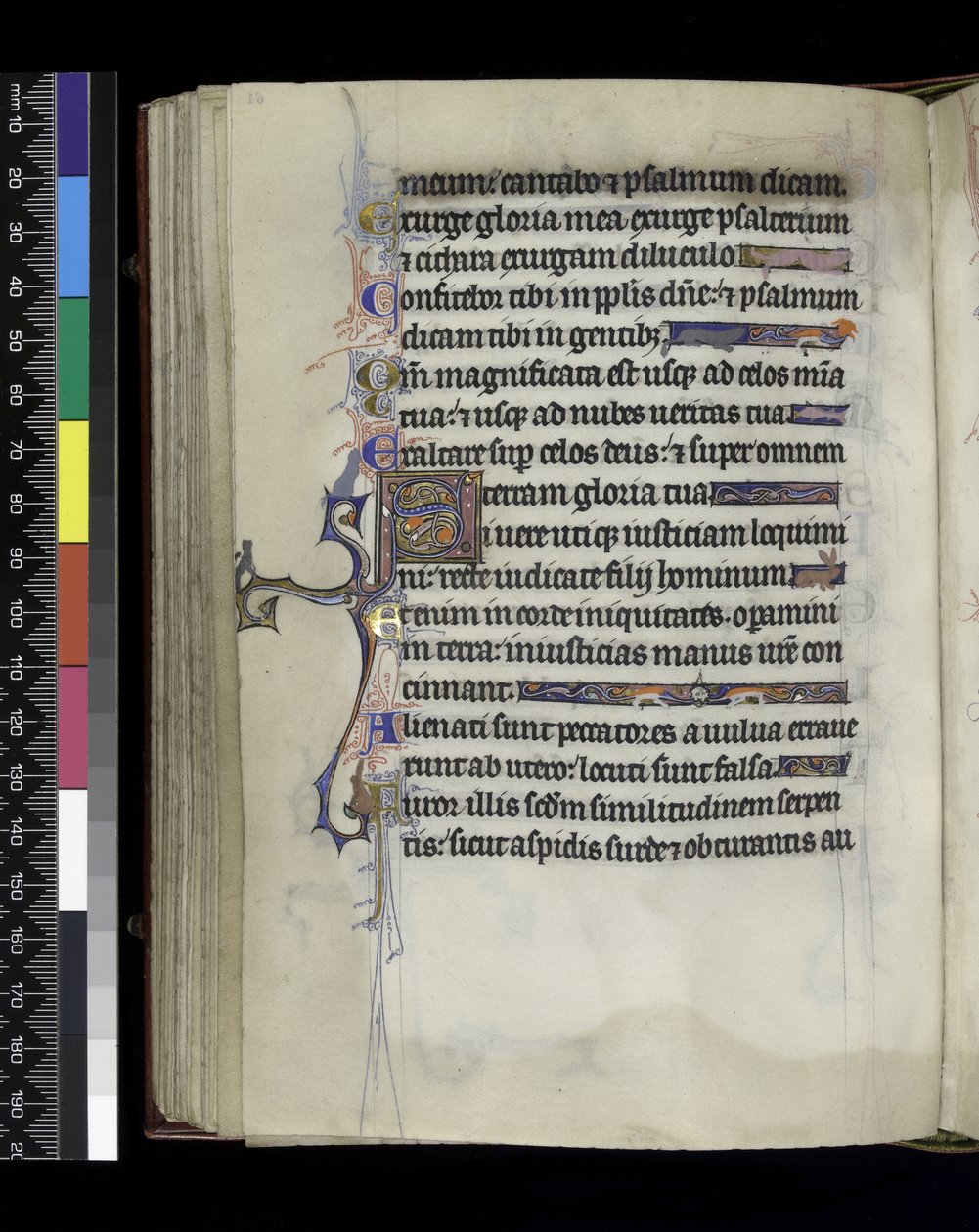 MS 300 f.61v, फ्रांस के पेरिस के इसाबेला के Psalter और घंटे से फोलियो, c.1265-70 द्वारा फ्रेंच स्कूल