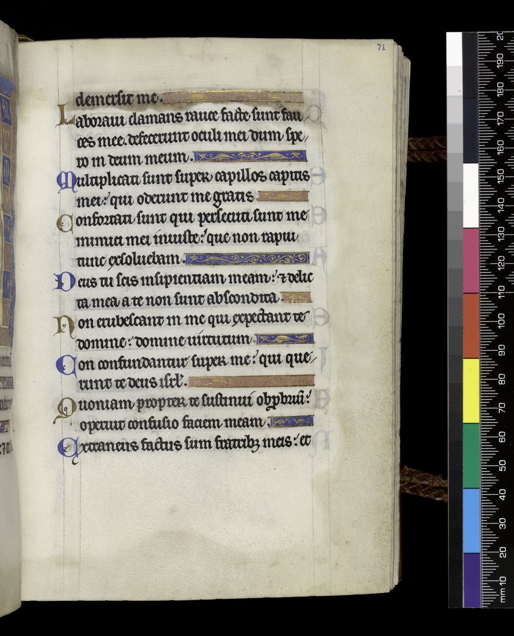 MS 300 f.71r, फ्रांस, पेरिस के इसाबेला के स्तोत्र और घंटे से, c.1265-70 (चर्मपत्र पर कलम और स्याही और तापमान) द्वारा फ्रेंच स्कूल