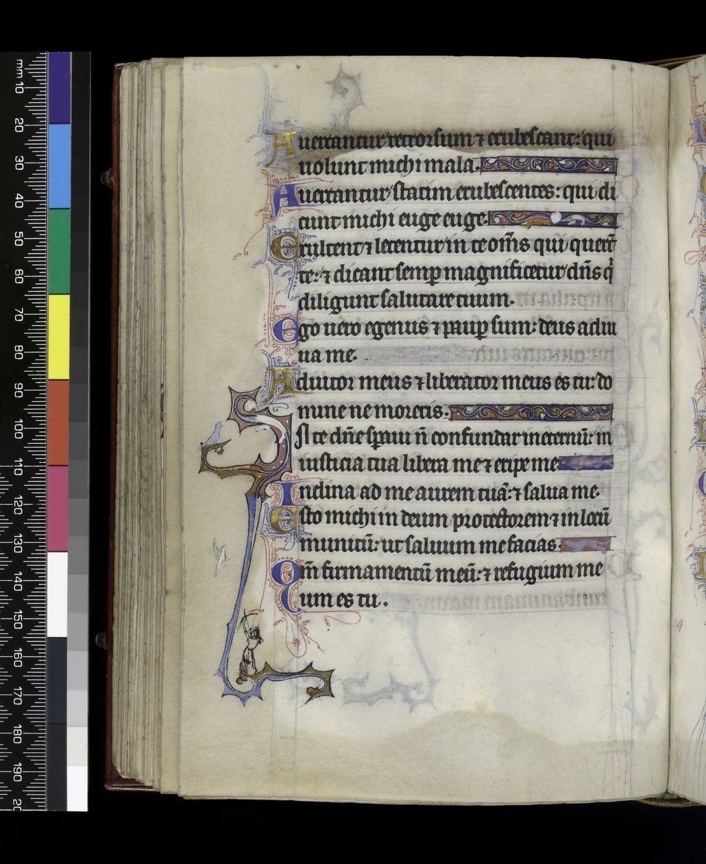 MS 300 f.73v, फ्रांस के पेरिस के इसाबेला के Psalter and Hours से, c.1265-70 द्वारा फ्रेंच स्कूल