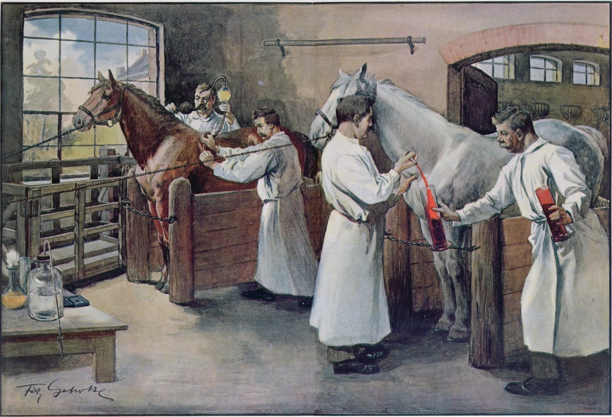 लेस एनिमाक्स से घोड़े के रक्त से डिप्थीरिया सीरम बनाना, c.1900 द्वारा फ्रेंच स्कूल