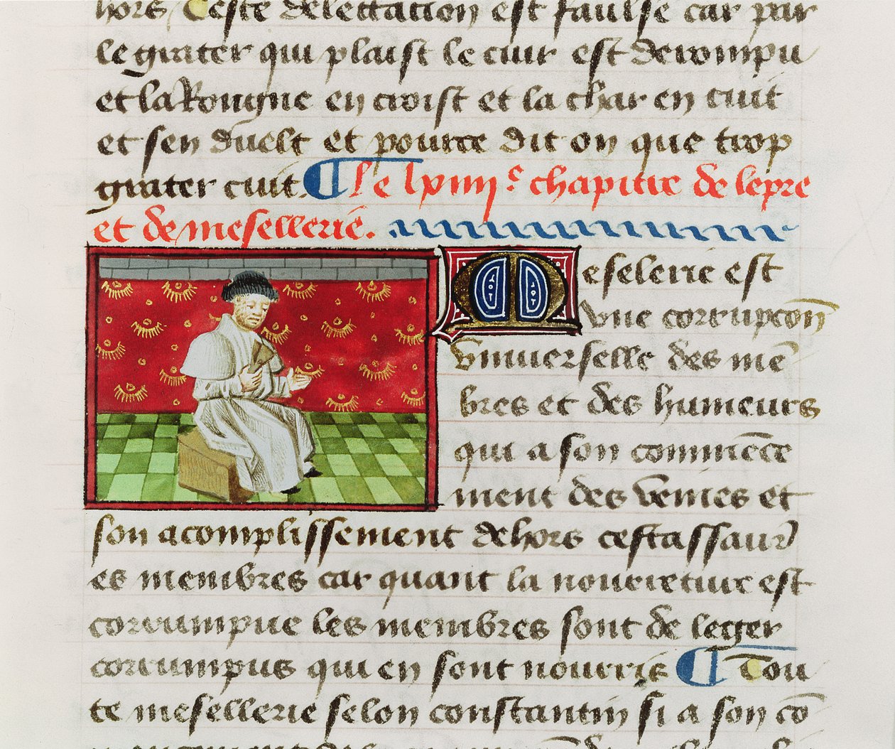 Ms.Fr.22532 Fol.118 बर्थेलेमी लोंग्लाइस द्वारा बुक ऑफ थिंग्स से लीपर द्वारा फ्रेंच स्कूल