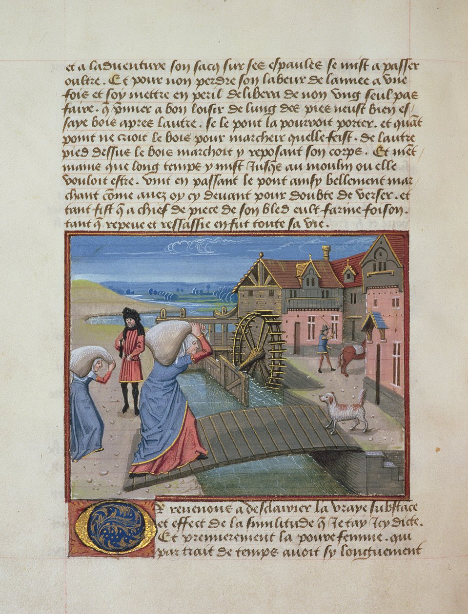 सुश्री 165 fol.48v रेने dAnjou, C.1465-68 द्वारा एक युवा राजकुमार के निर्माण से एक वाटरमेल द्वारा फ्रेंच स्कूल