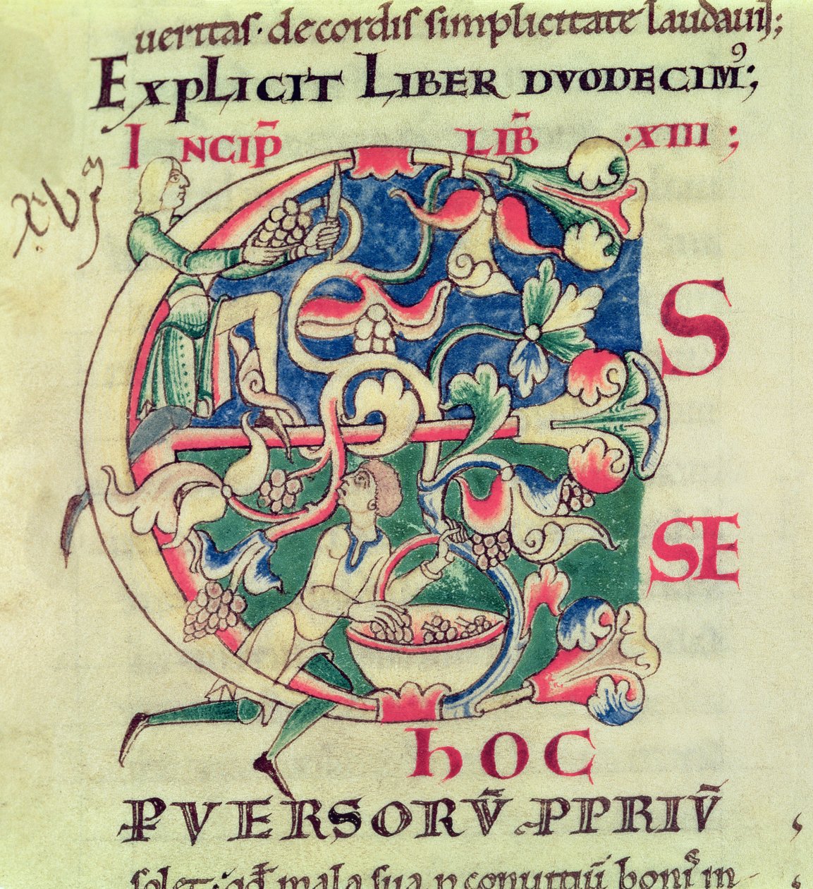 सुश्री 173 f.32 ऐतिहासिक प्रारंभिक ई में अंगूर की फसल का चित्रण, मोरलिया से जॉब में पोप ग्रेगरी द ग्रेट द्वारा किया गया है द्वारा फ्रेंच स्कूल