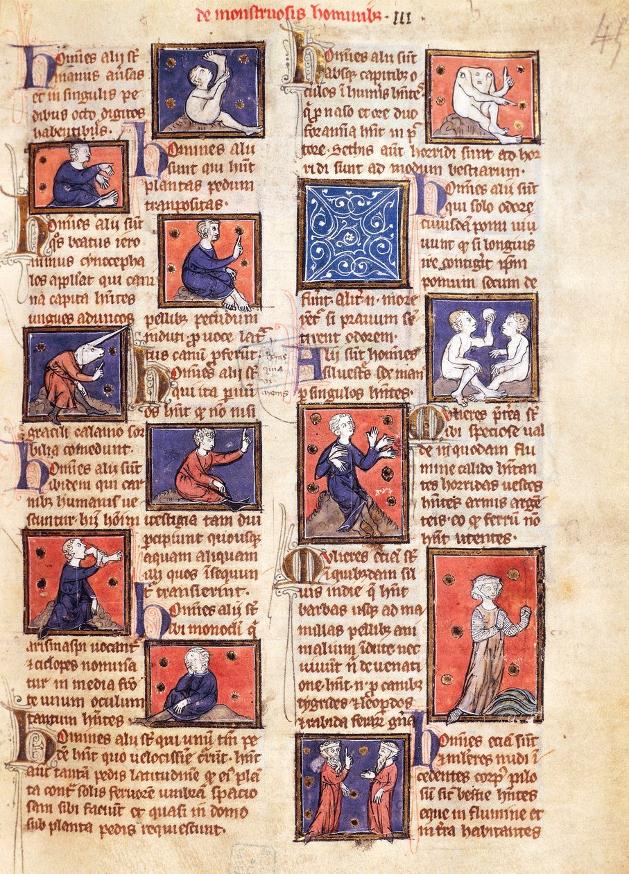 Ms 320 Fol.45r मॉन्स्टर्स, 'द नेचर ऑफ थिंग्स' से थॉमस वैन कैंटिम्प्रे (1201-72) द्वारा (वेलम पर) द्वारा फ्रेंच स्कूल