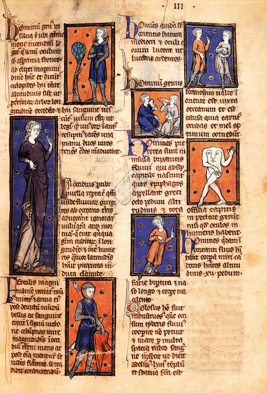 Ms 320 Fol.46r मॉन्स्टर्स, 'द नेचर ऑफ थिंग्स' द्वारा थॉमस वैन कैंटिम्प्रे (1201-72) (वेल्लम पर) द्वारा फ्रेंच स्कूल