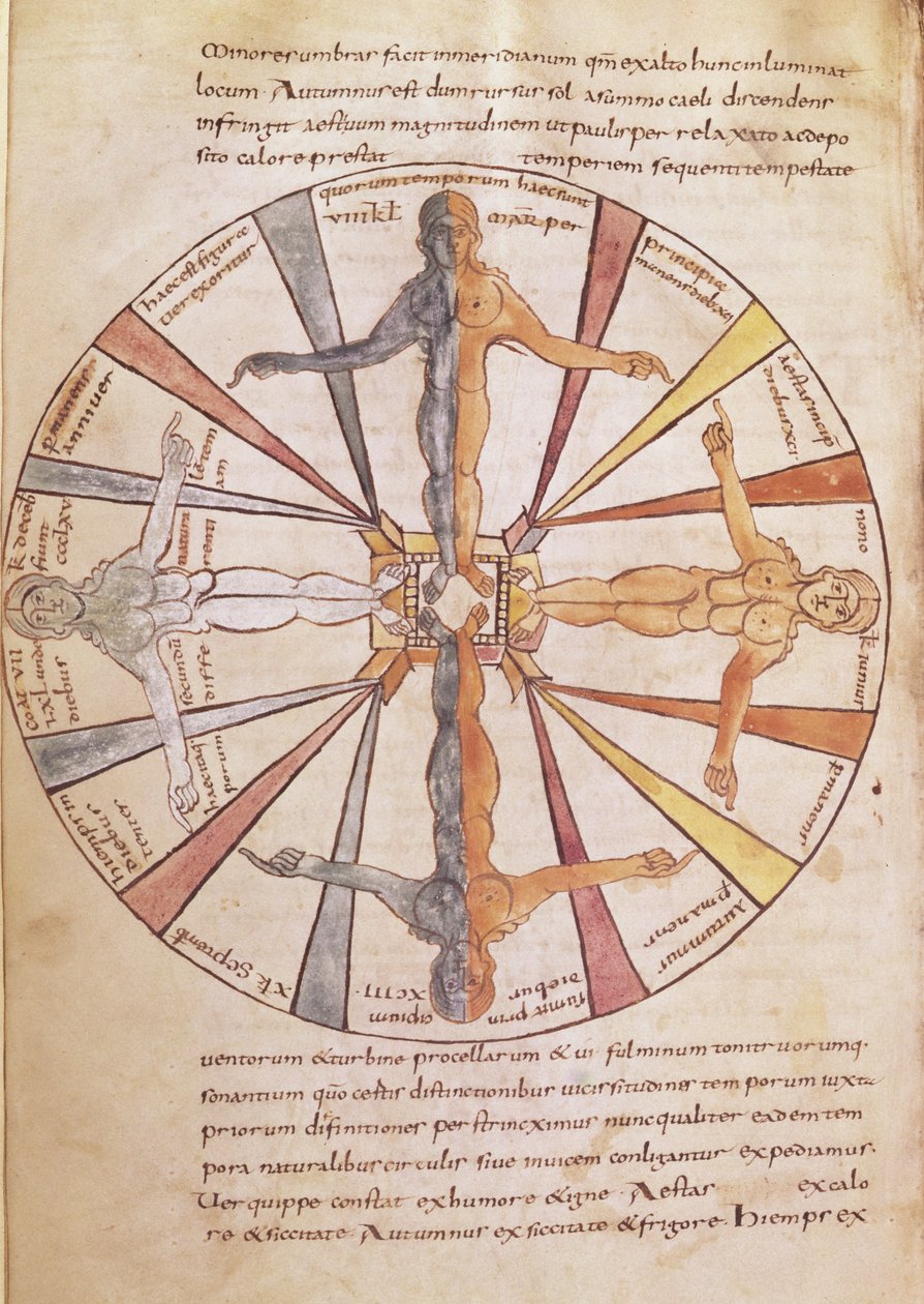 Ms 422 fol.6v सीविले के सेंट इसिडोर द्वारा डी नटुरा रेरम से, मौसम और महीनों का पहिया द्वारा फ्रेंच स्कूल