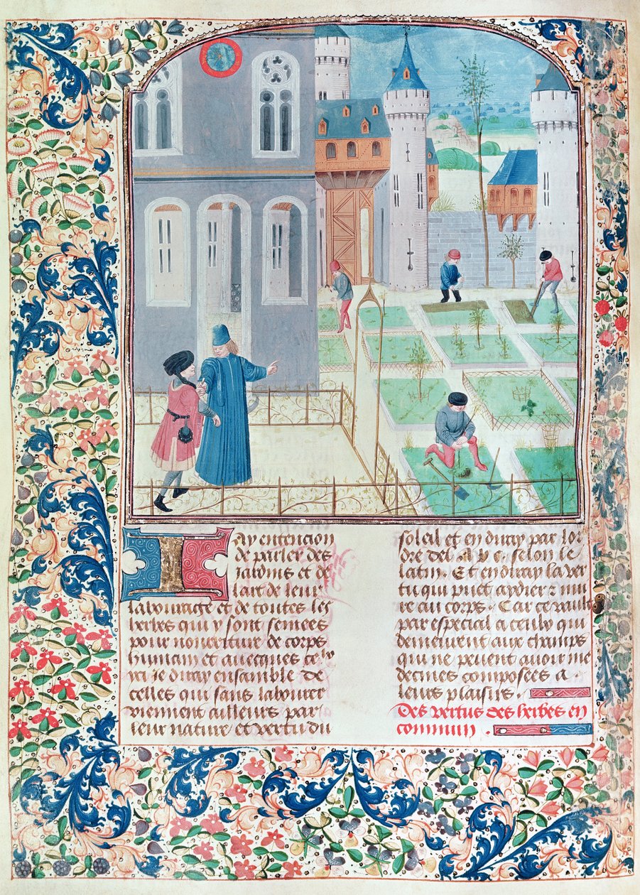 सुश्री 5064 f.151v द गार्डन, ले लिवर डे प्राउफ़िट्ज़ चम्पेस्ट्रेस का चित्र पिएत्रो डी क्रैसेन्ज़ी (1230-132021) द्वारा फ्रेंच स्कूल