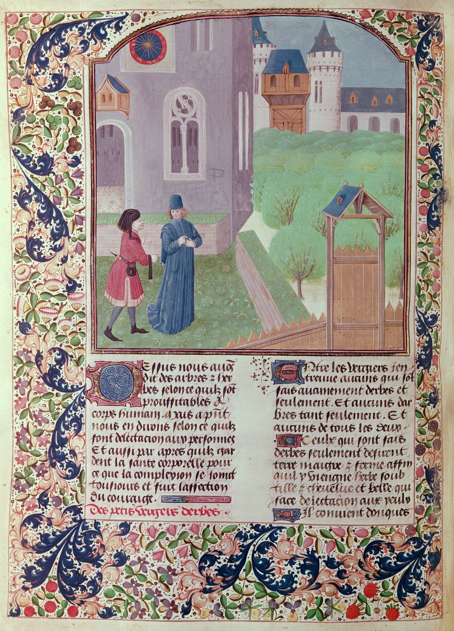 सुश्री 5064 f.202v द ऑर्चर्ड, ली लिवर डे प्राउफ़िट्ज़ चम्पेस्ट्रेस का चित्र पिएत्रो डी क्रैसेन्ज़ी (1230-132021) द्वारा फ्रेंच स्कूल