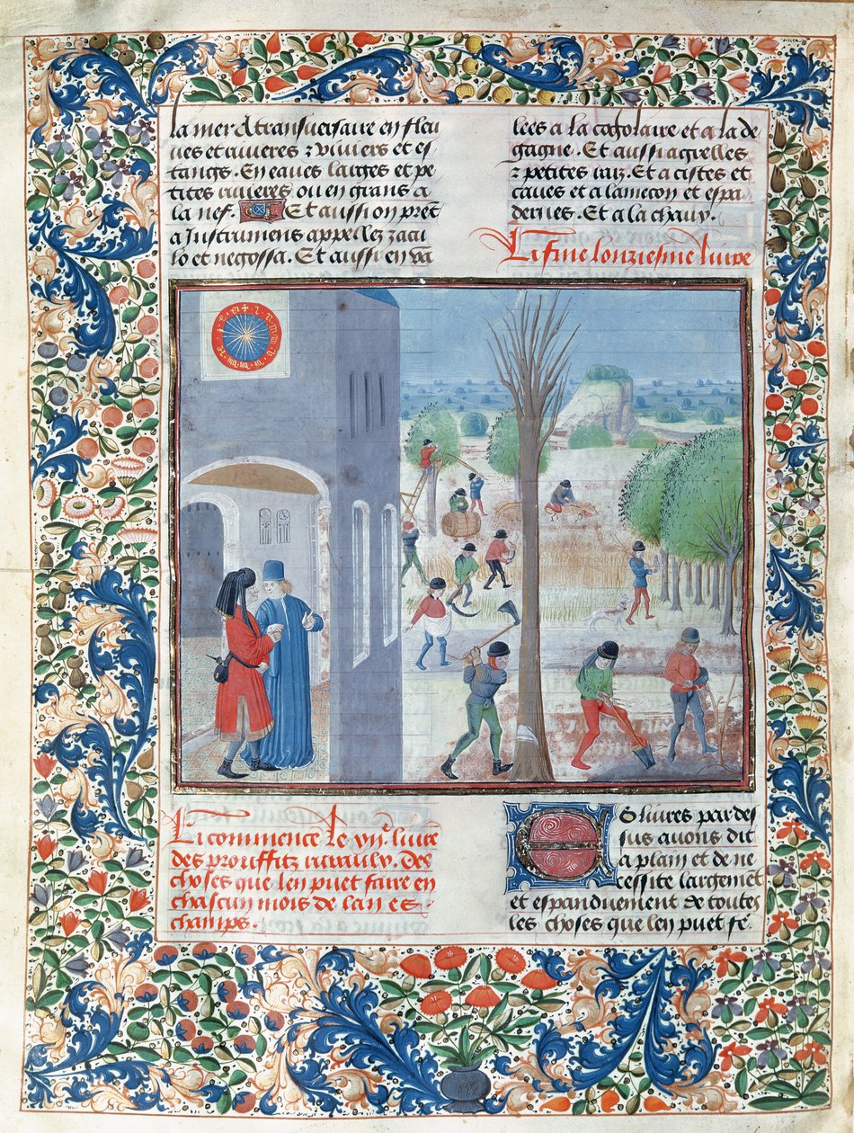 वर्ष के प्रत्येक महीने के लिए सुश्री 5064 f.299v व्यवसायों, पिएत्रो डे क्रेस्केंज़ी (1230-132021) द्वारा Le Livre des Prouffitz Champestres का चित्रण। द्वारा फ्रेंच स्कूल