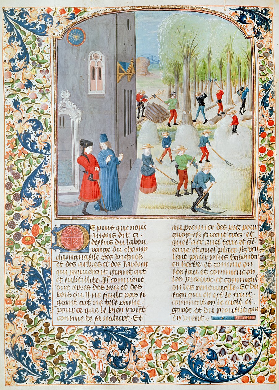 सुश्री 5064 fol.198v कटिंग ट्री एंड हार्वेस्टिंग, लिवर डे प्राउफ़िट्ज़ चम्पेस्ट्रेस से पिएत्रो डी क्रैसेन्ज़ी (1230-132021) द्वारा फ्रेंच स्कूल