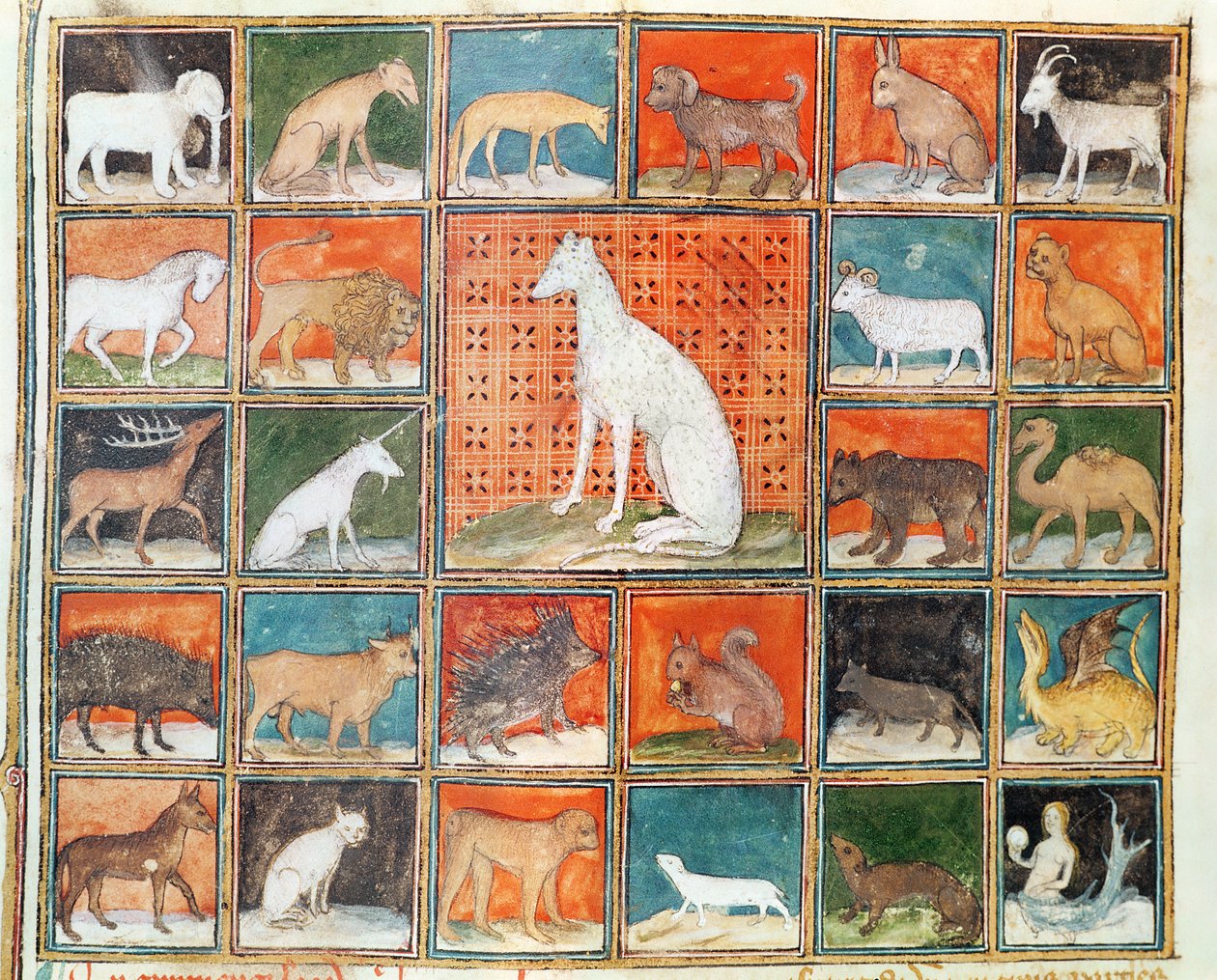 सुश्री 993 fol.254v द प्रॉपर्टीज ऑफ बीस्ट्स: द मैमल्स, द बुक ऑफ थिंग्स ऑफ़ जीन कोर्डिचॉन द्वारा द्वारा फ्रेंच स्कूल