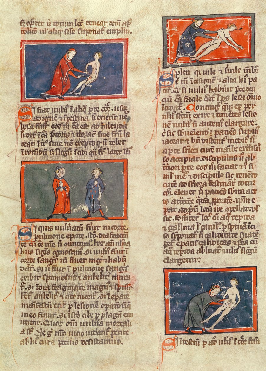 Ms H 89 fol.21v एनाटोमिकल आंकड़े, &39;बुक ऑफ सर्जरी&39; के एक संस्करण से रोजियर डी सालर्न द्वारा द्वारा फ्रेंच स्कूल