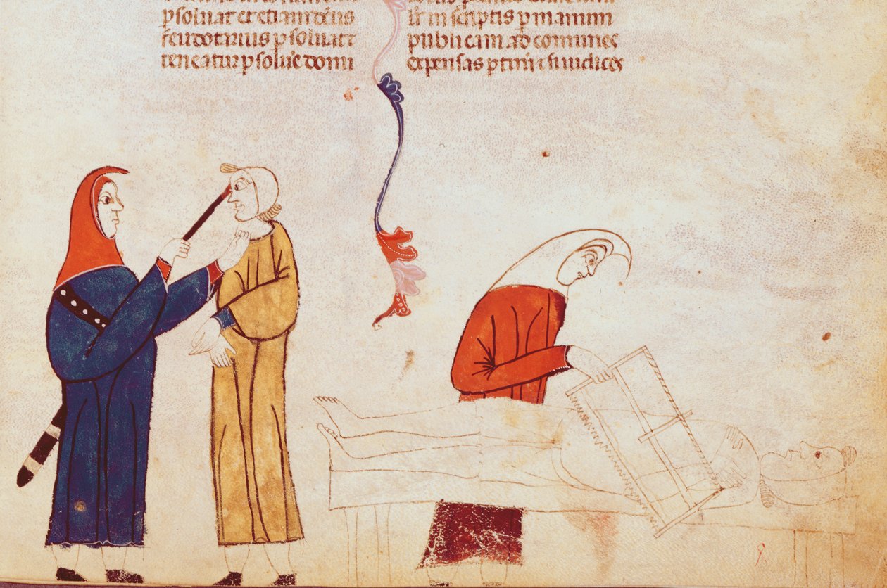 सुश्री लट 9187 fol.24 टॉरेट दृश्य, टूलूज़ के सीमा शुल्क से द्वारा फ्रेंच स्कूल