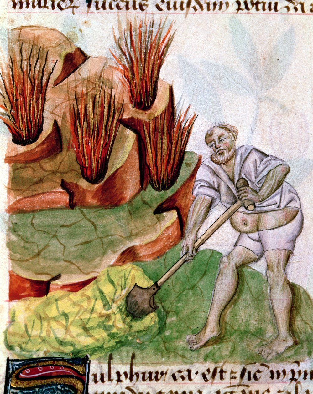 Ms Lat 993 L.9.28 f.123v सल्फर की तलाश में, Dioscorides De Herbis से द्वारा फ्रेंच स्कूल
