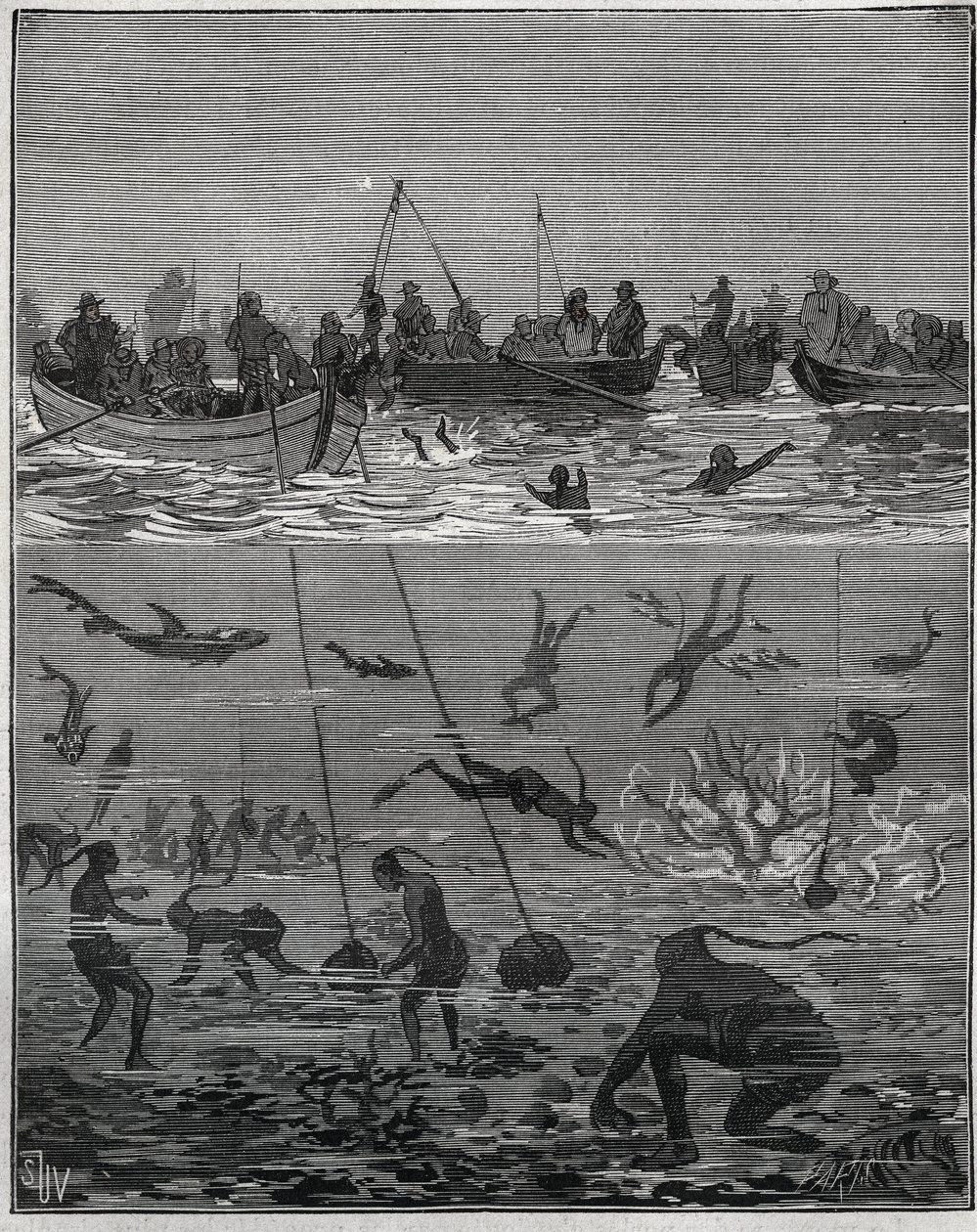 19वीं सदी में सीलोन (वर्तमान श्रीलंका) में मोती आड़ू। एडोल्फ बिटार्ड द्वारा 1885 से "लेस आर्ट्स एट मेटियर्स इलस्ट्रेट्स" में उत्कीर्णन। द्वारा फ्रेंच स्कूल