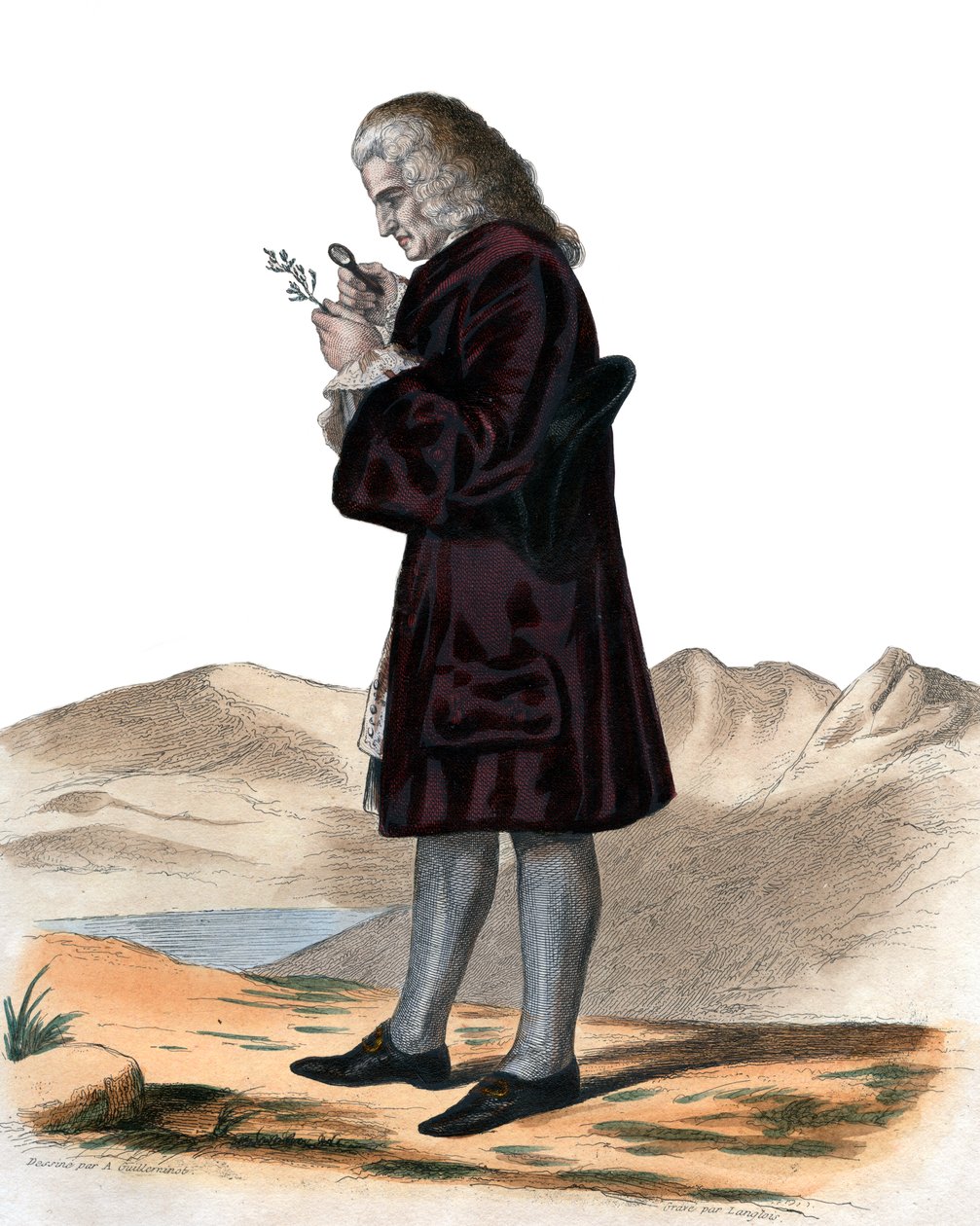 बर्नार्ड डी जूसियू (1699-1777), फ्रांसीसी प्रकृतिवादी का चित्र द्वारा फ्रेंच स्कूल
